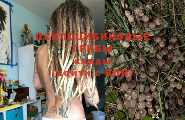 альфа пвп Баксан