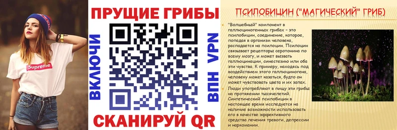 где можно купить Козельск Галлюциногенные грибы GOLDEN TEACHER